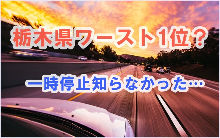 【栃木県/横断歩道】なぜ車が止まらない都道府県1位に？一時停止しない理由とは？